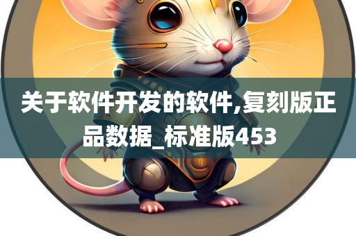 关于软件开发的软件,复刻版正品数据_标准版453