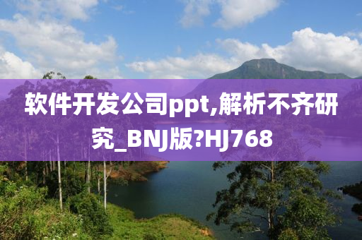 软件开发公司ppt,解析不齐研究_BNJ版?HJ768