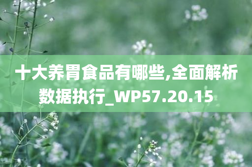 十大养胃食品有哪些,全面解析数据执行_WP57.20.15