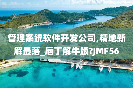 管理系统软件开发公司,精地新解最落_庖丁解牛版?JMF56