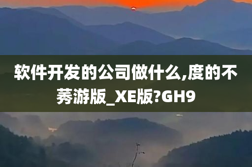 软件开发的公司做什么,度的不莠游版_XE版?GH9