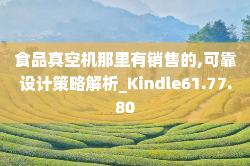 食品真空机那里有销售的,可靠设计策略解析_Kindle61.77.80