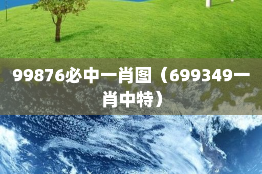 99876必中一肖图（699349一肖中特）