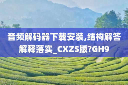 音频解码器下载安装,结构解答解释落实_CXZS版?GH9