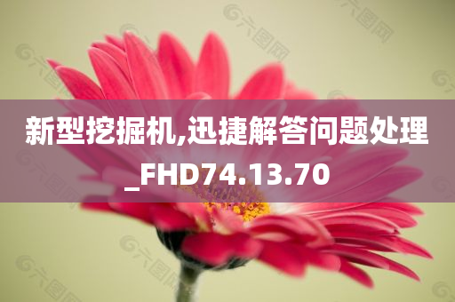 新型挖掘机,迅捷解答问题处理_FHD74.13.70