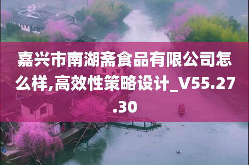 嘉兴市南湖斋食品有限公司怎么样,高效性策略设计_V55.27.30