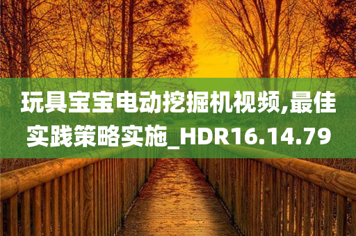 玩具宝宝电动挖掘机视频,最佳实践策略实施_HDR16.14.79