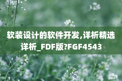 软装设计的软件开发,详析精选详析_FDF版?FGF4543