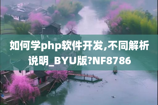 如何学php软件开发,不同解析说明_BYU版?NF8786