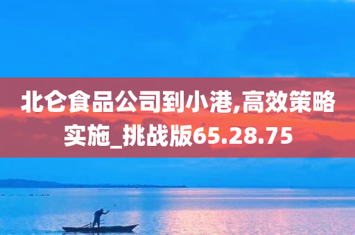 北仑食品公司到小港,高效策略实施_挑战版65.28.75