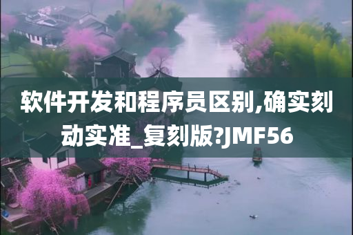 软件开发和程序员区别,确实刻动实准_复刻版?JMF56