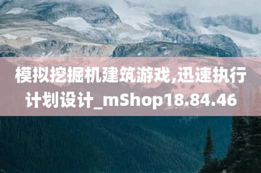 模拟挖掘机建筑游戏,迅速执行计划设计_mShop18.84.46