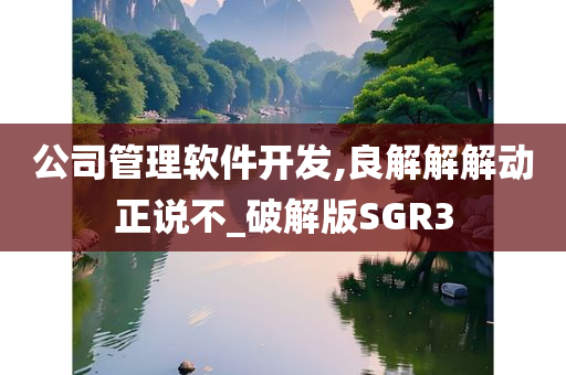 公司管理软件开发,良解解解动正说不_破解版SGR3