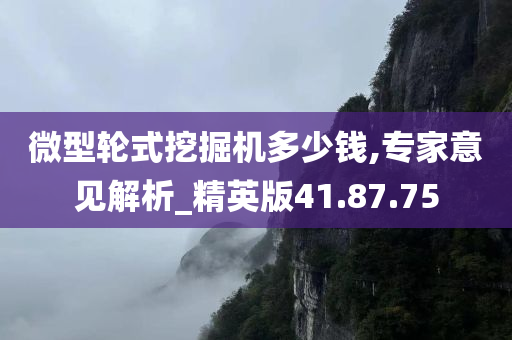 微型轮式挖掘机多少钱,专家意见解析_精英版41.87.75