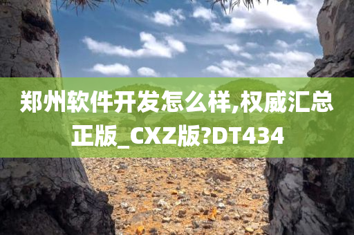 郑州软件开发怎么样,权威汇总正版_CXZ版?DT434