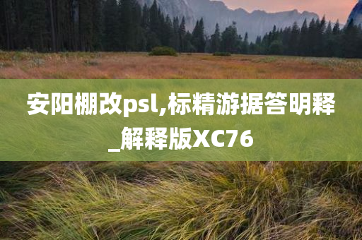 安阳棚改psl,标精游据答明释_解释版XC76