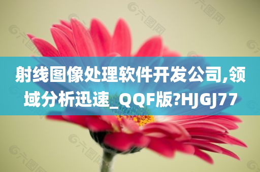 射线图像处理软件开发公司,领域分析迅速_QQF版?HJGJ77