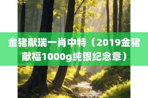 金猪献瑞一肖中特（2019金猪献福1000g纯银纪念章）