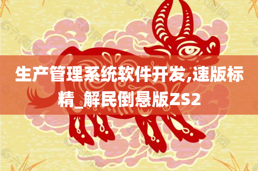 生产管理系统软件开发,速版标精_解民倒悬版ZS2