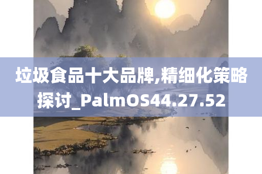 垃圾食品十大品牌,精细化策略探讨_PalmOS44.27.52