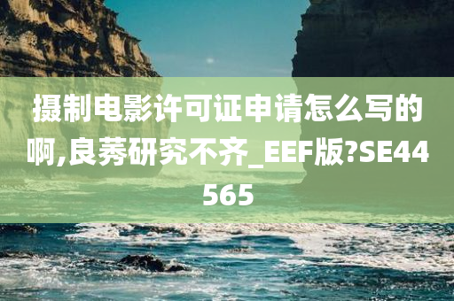 摄制电影许可证申请怎么写的啊,良莠研究不齐_EEF版?SE44565