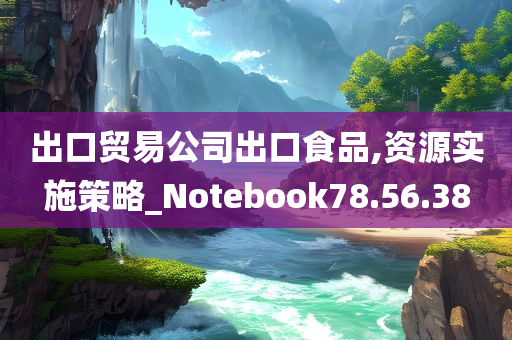 出口贸易公司出口食品,资源实施策略_Notebook78.56.38