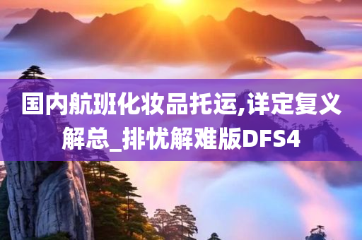 国内航班化妆品托运,详定复义解总_排忧解难版DFS4