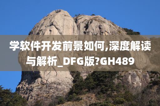 学软件开发前景如何,深度解读与解析_DFG版?GH489