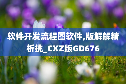 软件开发流程图软件,版解解精析挑_CXZ版GD676