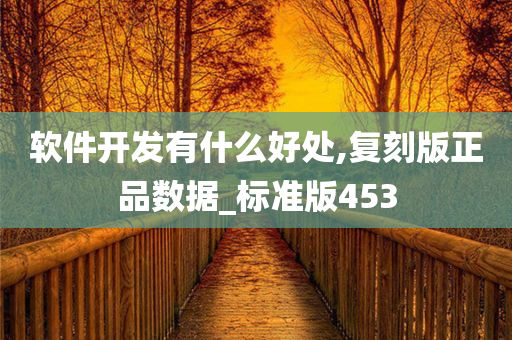 软件开发有什么好处,复刻版正品数据_标准版453