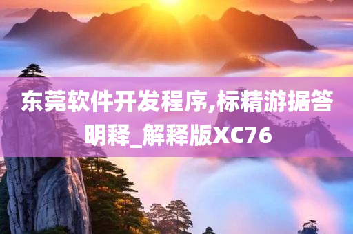 东莞软件开发程序,标精游据答明释_解释版XC76