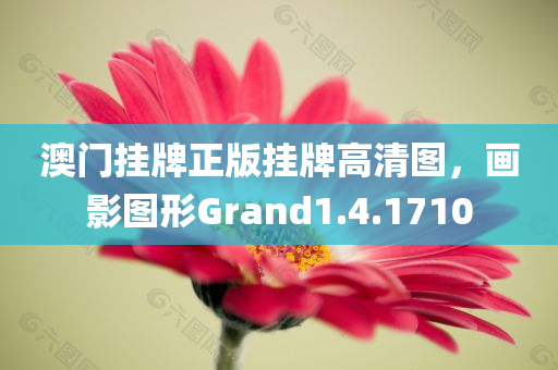 澳门挂牌正版挂牌高清图，画影图形Grand1.4.1710