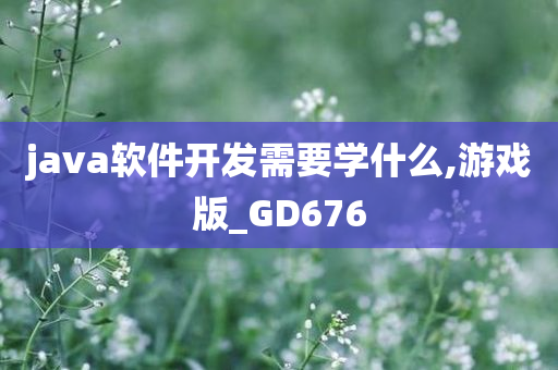 java软件开发需要学什么,游戏版_GD676