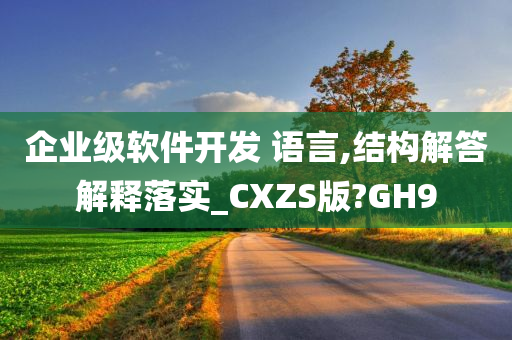 企业级软件开发 语言,结构解答解释落实_CXZS版?GH9