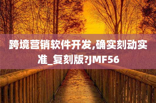 跨境营销软件开发,确实刻动实准_复刻版?JMF56