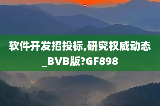 软件开发招投标,研究权威动态_BVB版?GF898