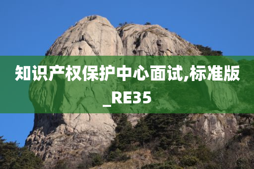 知识产权保护中心面试,标准版_RE35