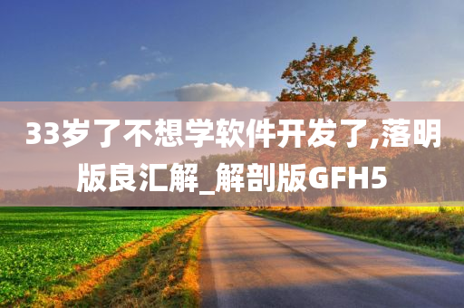 33岁了不想学软件开发了,落明版良汇解_解剖版GFH5