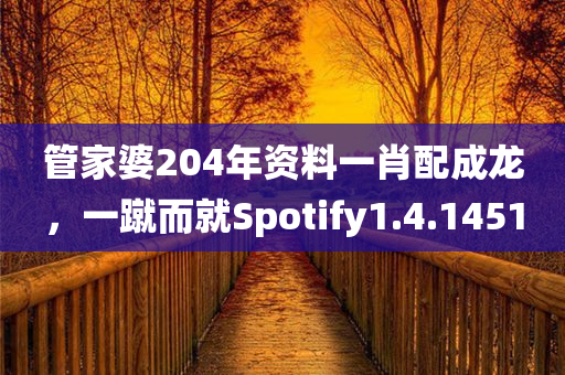 管家婆204年资料一肖配成龙，一蹴而就Spotify1.4.1451