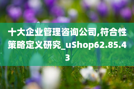 十大企业管理咨询公司,符合性策略定义研究_uShop62.85.43