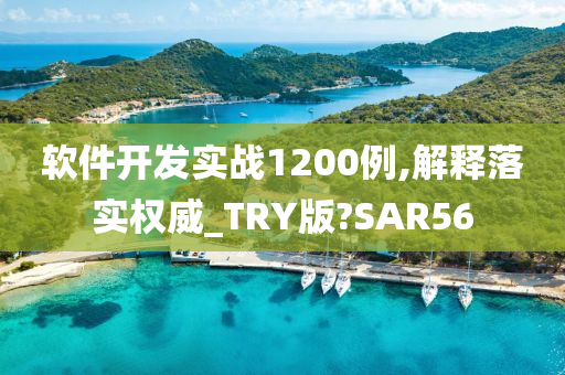 软件开发实战1200例,解释落实权威_TRY版?SAR56