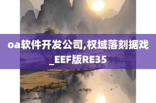 oa软件开发公司,权域落刻据戏_EEF版RE35