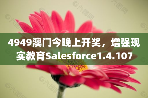 4949澳门今晚上开奖，增强现实教育Salesforce1.4.107