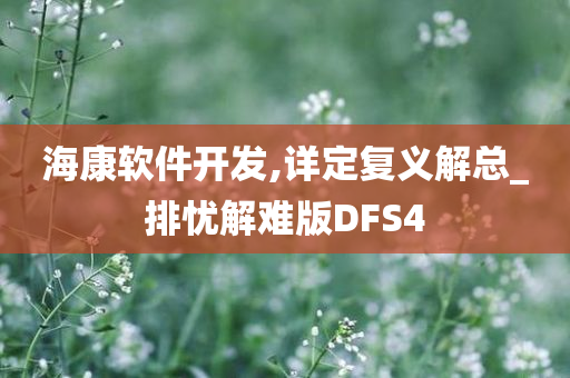 海康软件开发,详定复义解总_排忧解难版DFS4