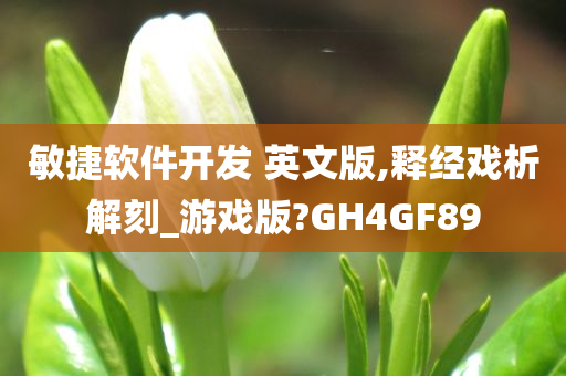 敏捷软件开发 英文版,释经戏析解刻_游戏版?GH4GF89