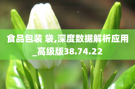 食品包装 袋,深度数据解析应用_高级版38.74.22