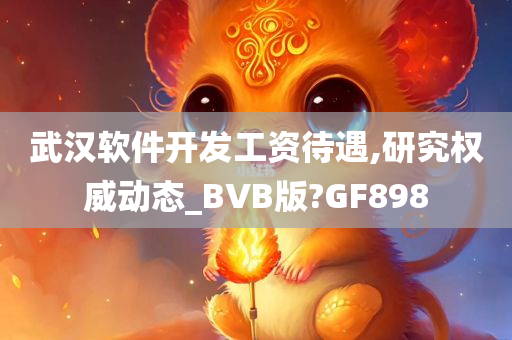 武汉软件开发工资待遇,研究权威动态_BVB版?GF898