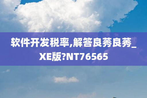 软件开发税率,解答良莠良莠_XE版?NT76565