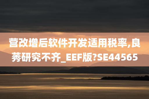 营改增后软件开发适用税率,良莠研究不齐_EEF版?SE44565