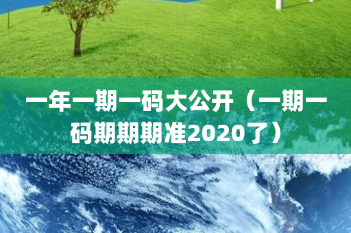 一年一期一码大公开（一期一码期期期准2020了）